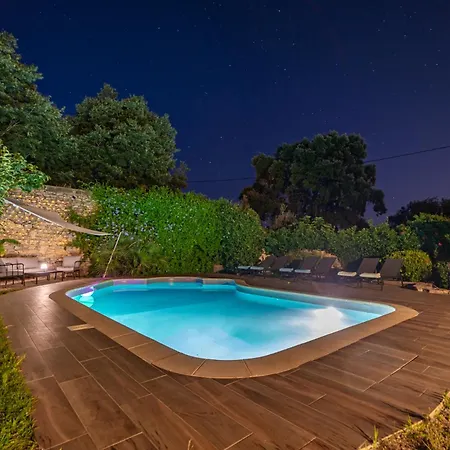 Mazet Pierre De Vers - Des Olivers *