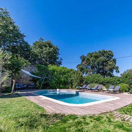 Mazet Pierre De Vers - Des Olivers Holiday home *