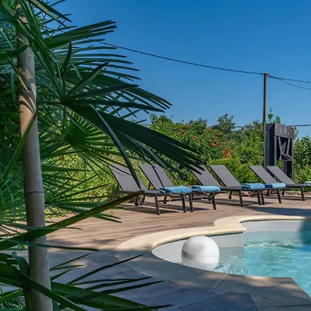 Mazet Pierre De Vers - Des Olivers * Nîmes