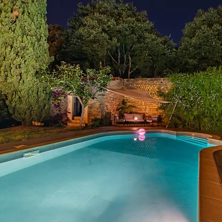 Mazet Pierre De Vers - Des Olivers Nîmes