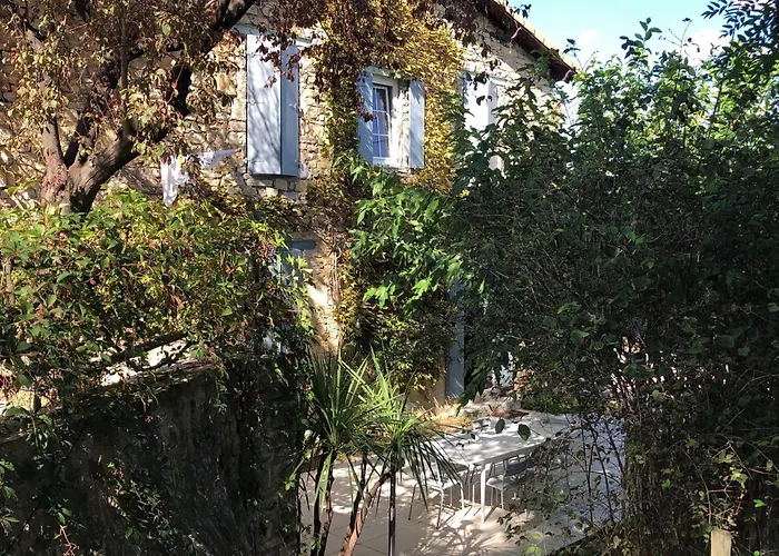 Mazet Pierre De Vers - Des Olivers * Νιμ